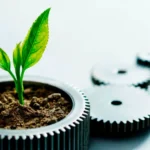 The Math of Organic Marketing Is Simple — Learn to Earn